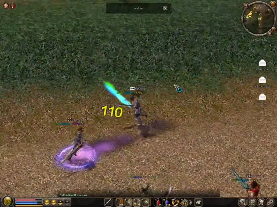 KnPa vs Wapaa Metin2.es