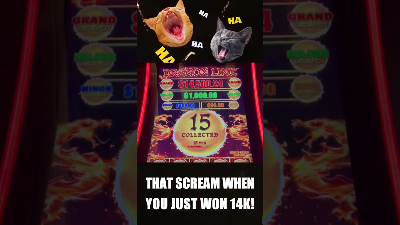 THAT SCREAM WHEN YOU JUST WON 14K! #shorts