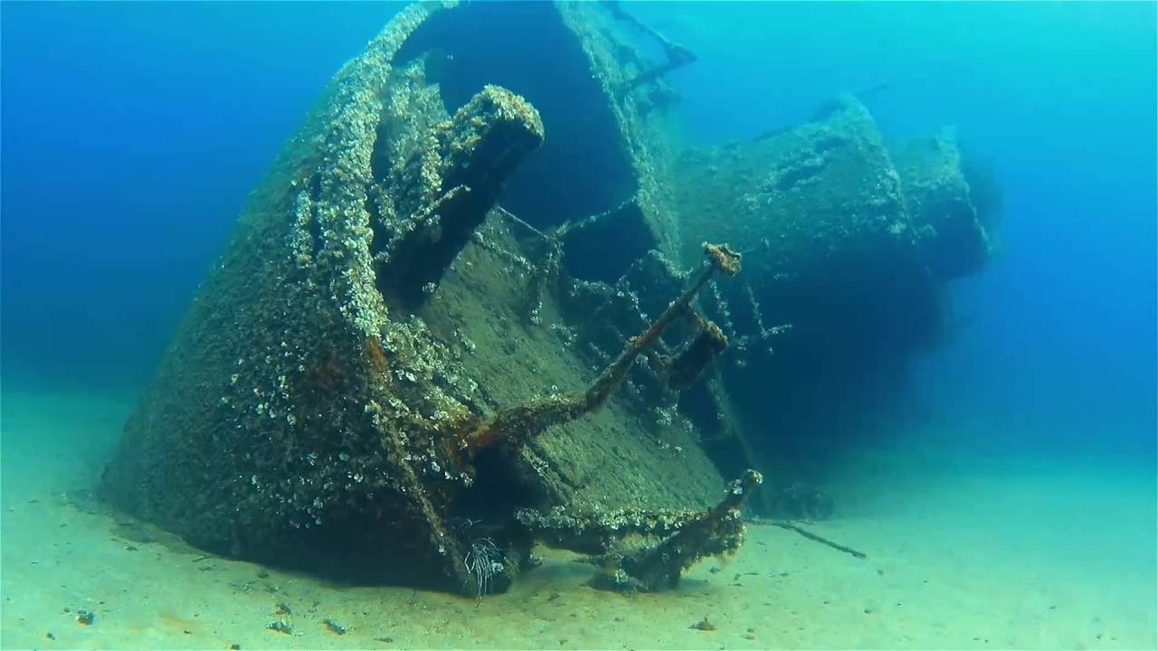 Relitto Elviscott Isola d'Elba