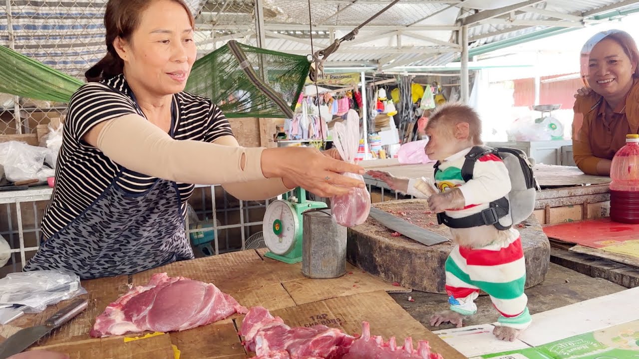 Monkey SinSin used his savings to go to the market to buy food