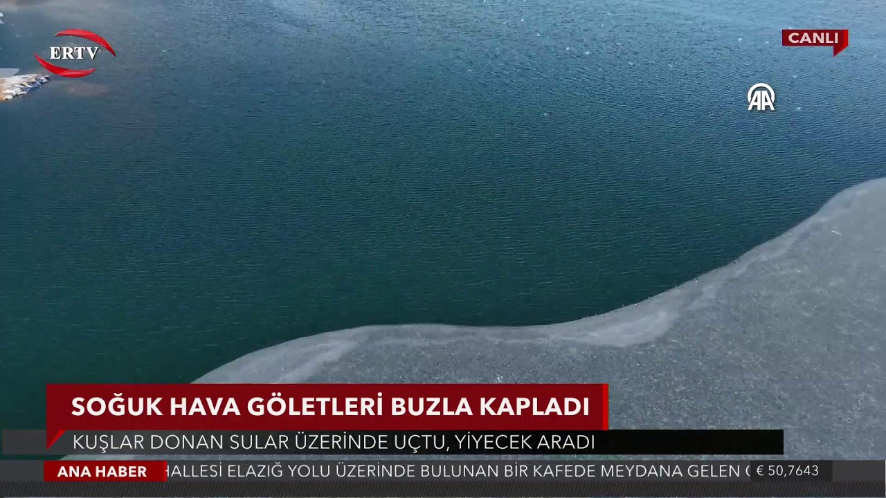 #CANLI