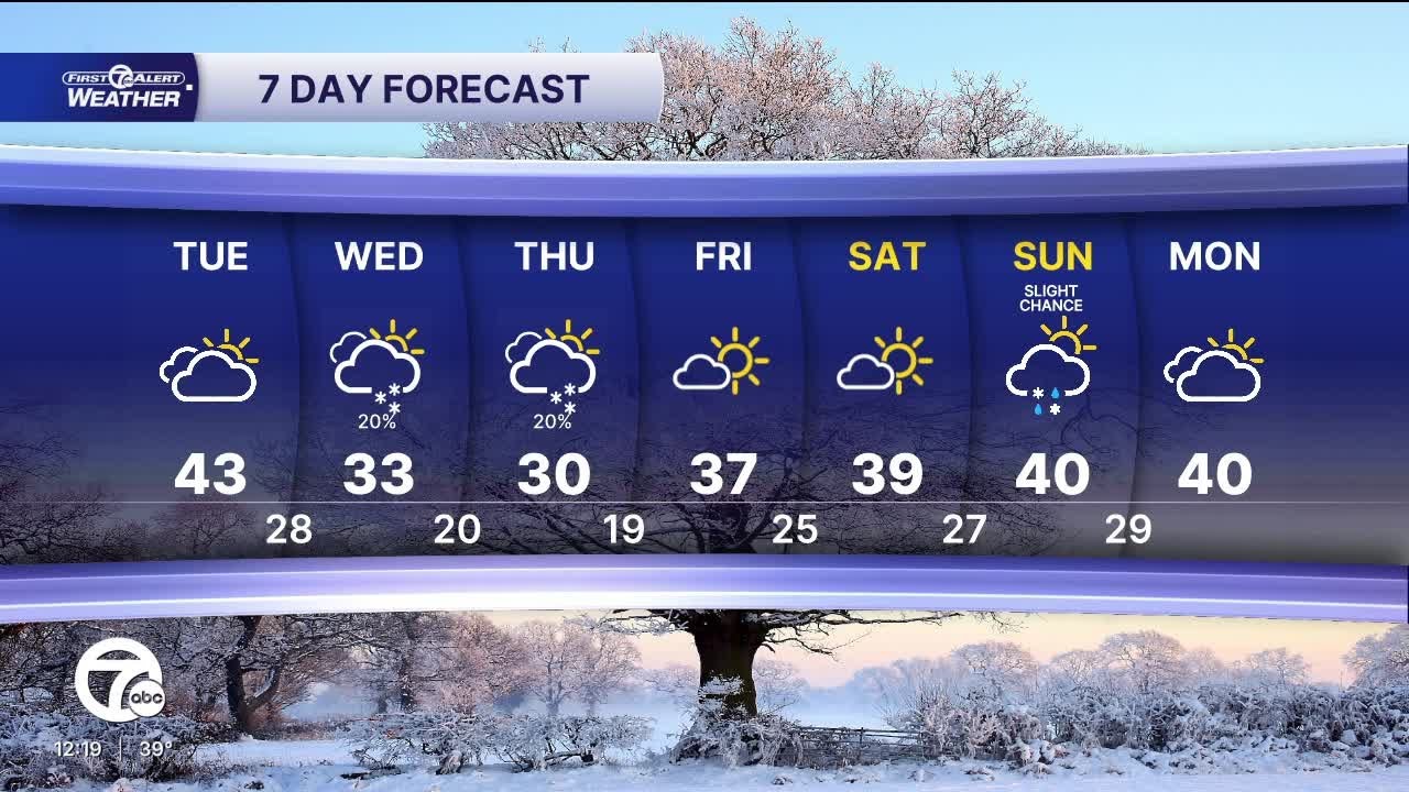 Metro Detroit Forecast: Thawing out this week