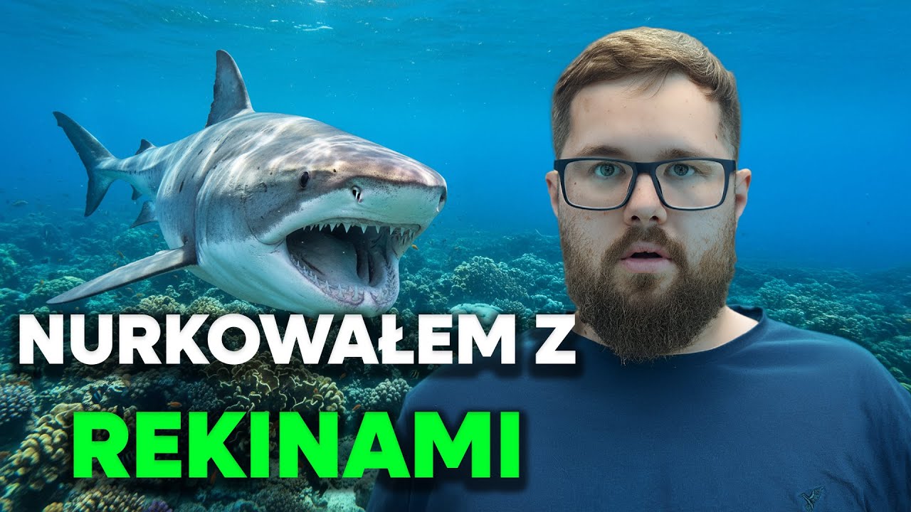 POV: NURKUJESZ Z REKINAMI