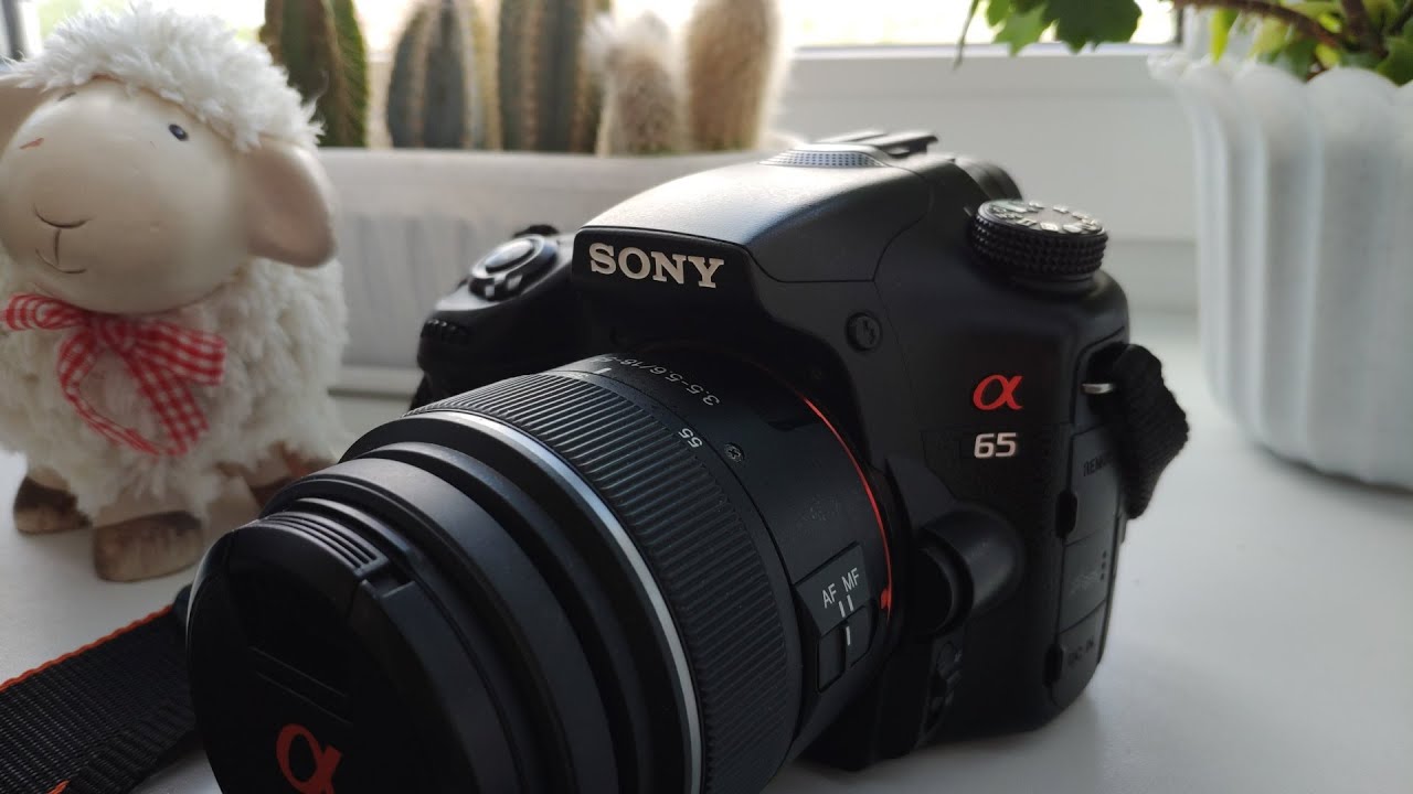 Sony A65 (2011) в 2020 году...