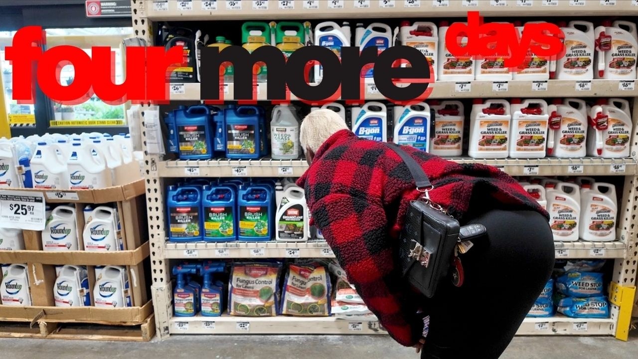 chloe b...diaries | Errands, Expectations & Energy Shifts