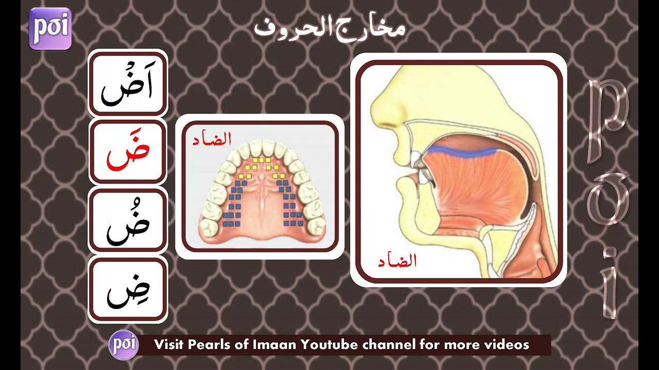 15. Makhārij Al Hurūf | Makhraj of Ḍād ض | By Sheikh Ayman Rushdi Seweid