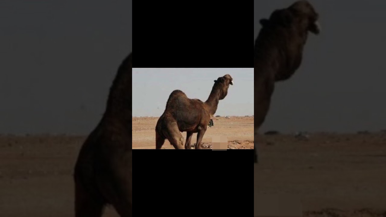 وقت