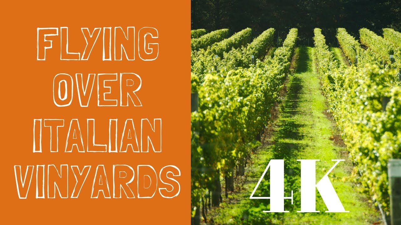 Flying over Italian Vineyards in Italy 4K HD 2160P Italy4Real