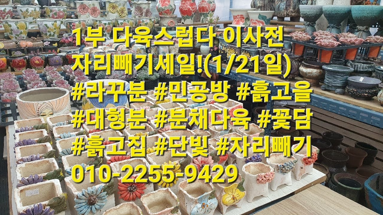 1부 다육스럽다 이사전 자리빼기세일!(1/21일) #라꾸분 #민공방 #흙고을 #대형분 #분채다육 #꽃담 #흙고집 #단빛 #자리빼기 🛎010-2255-9429
