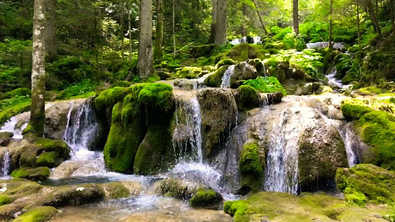 Wonderful nature and the waterfalls of the Miljacka river, Bosnia and Herzegovina