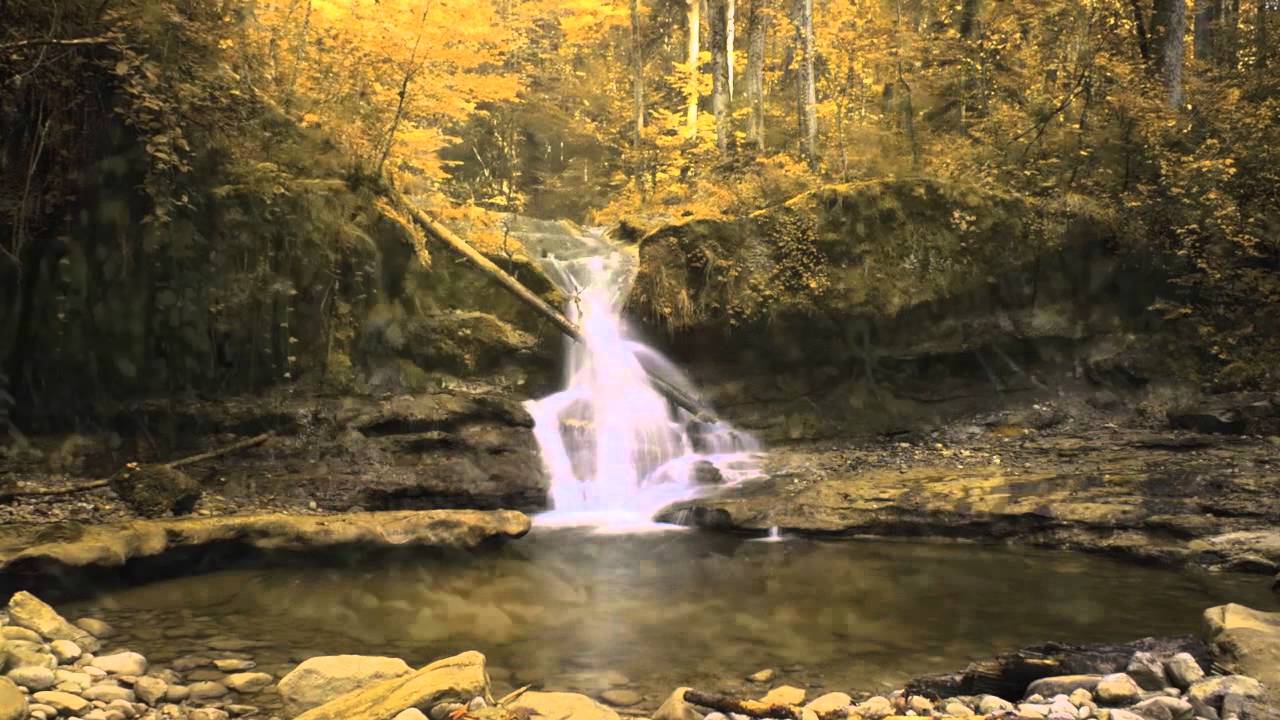 NITTENS - Francisco moore (2012 TOM RECORDS)