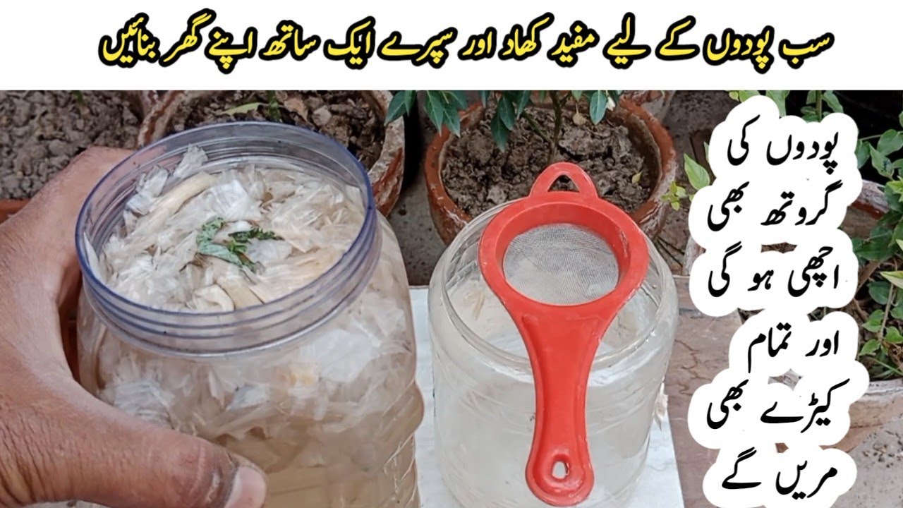 How to make liquid fertilizer for plants | khad banane ka tarika | Best homemade fertilizer.