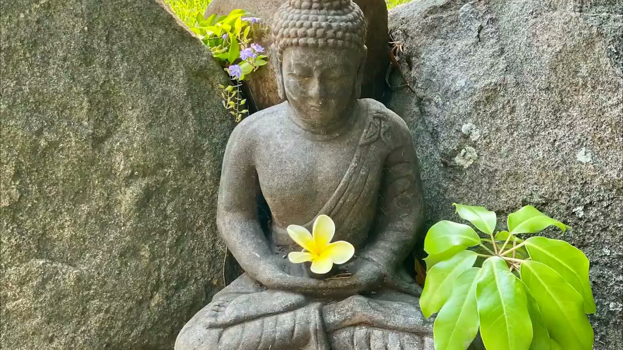 Bansuri Flute Music : Mystic Garden