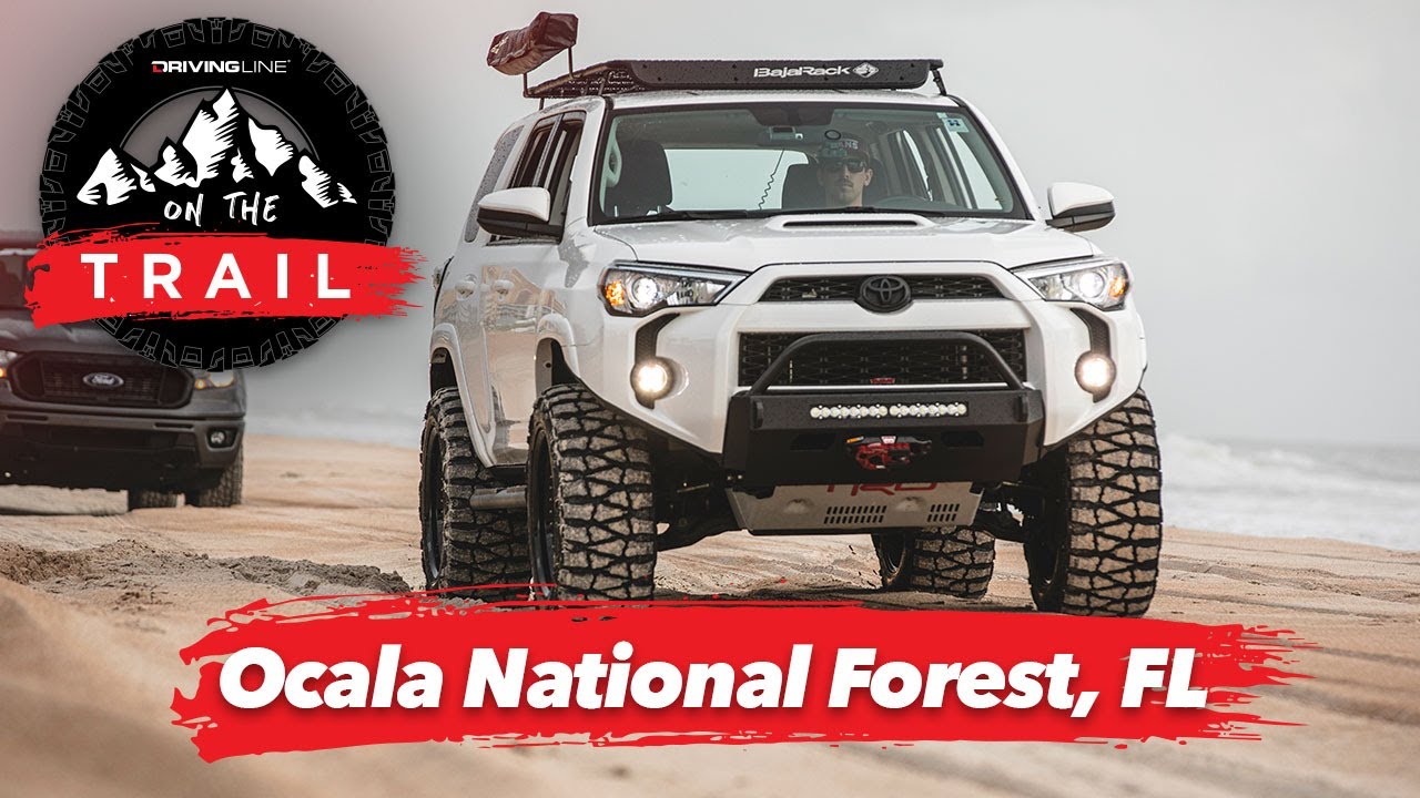 Off-Road Ocala National Forest Trails | On The Trail