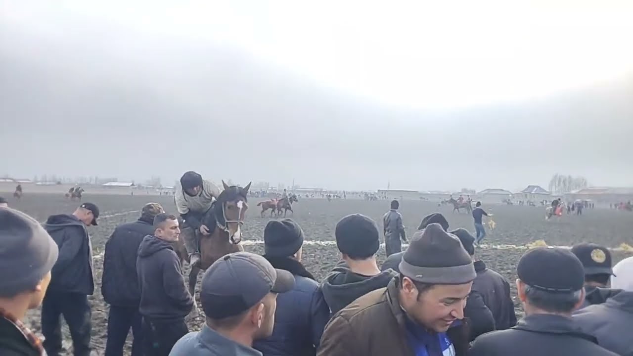 Urgut tumani Moʻgʻol mahallasi uloq koʻpkari 30.01.2026
