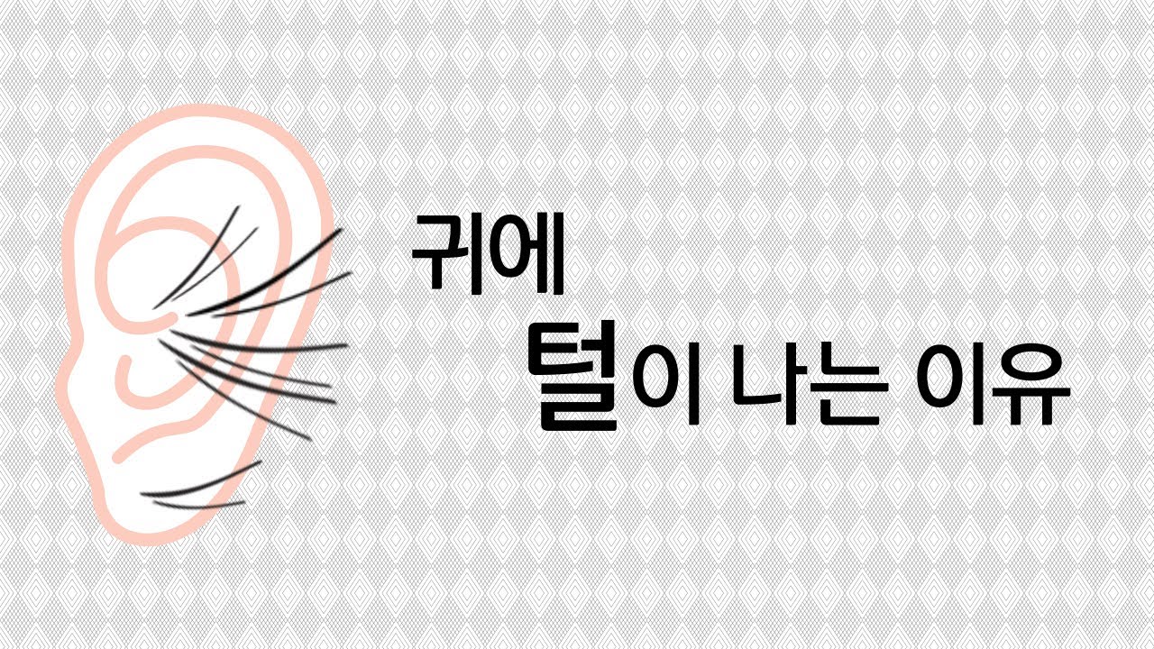 귀에 털이 나는 이유 (Feat. 탈모)