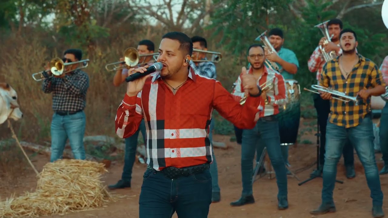 Banda La Misma Escuela - El Sauce y La Palma