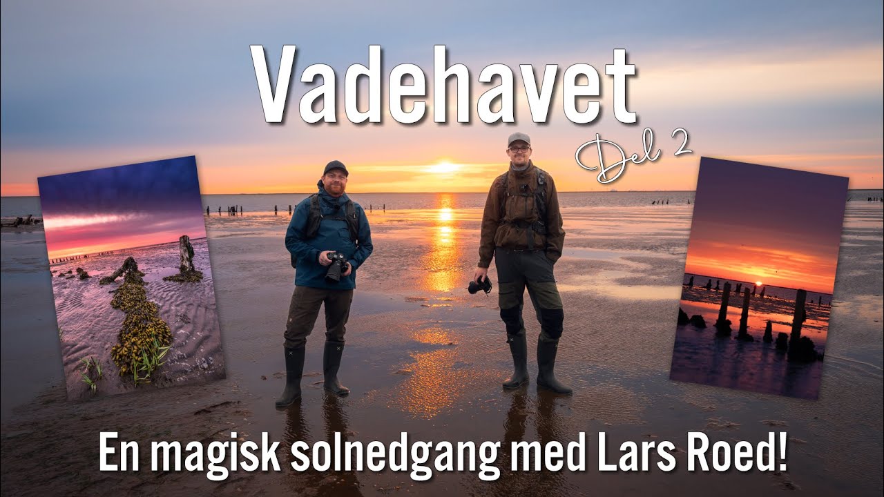 Vadehavet Del 2 - En MAGISK solnedgang med Lars Roed.