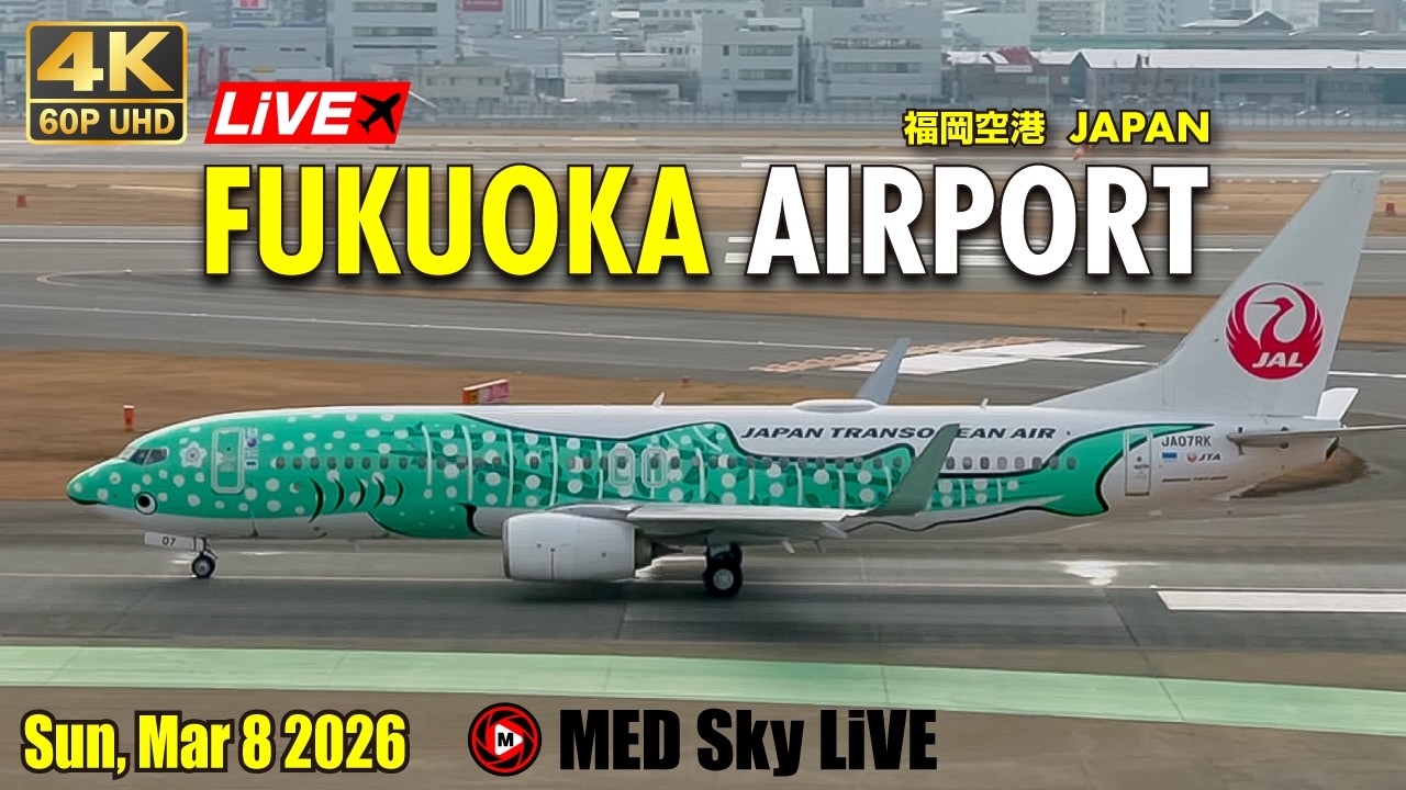 🔴4K60p LiVE Fukuoka (Japan) Airport Plane Spotting✈️3/8 福岡空港ライブカメラ Sun, Mar 8 2026 (FUK/RJFF)