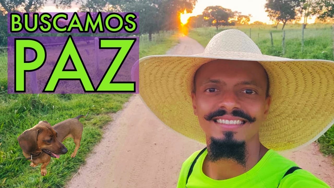 Larguei a cidade e fui morar no campo
