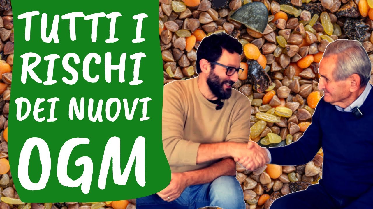 Arrivano i nuovi OGM e sono PERICOLOSI. Salvatore Ceccarelli ci spiega i rischi di NGT o TEA