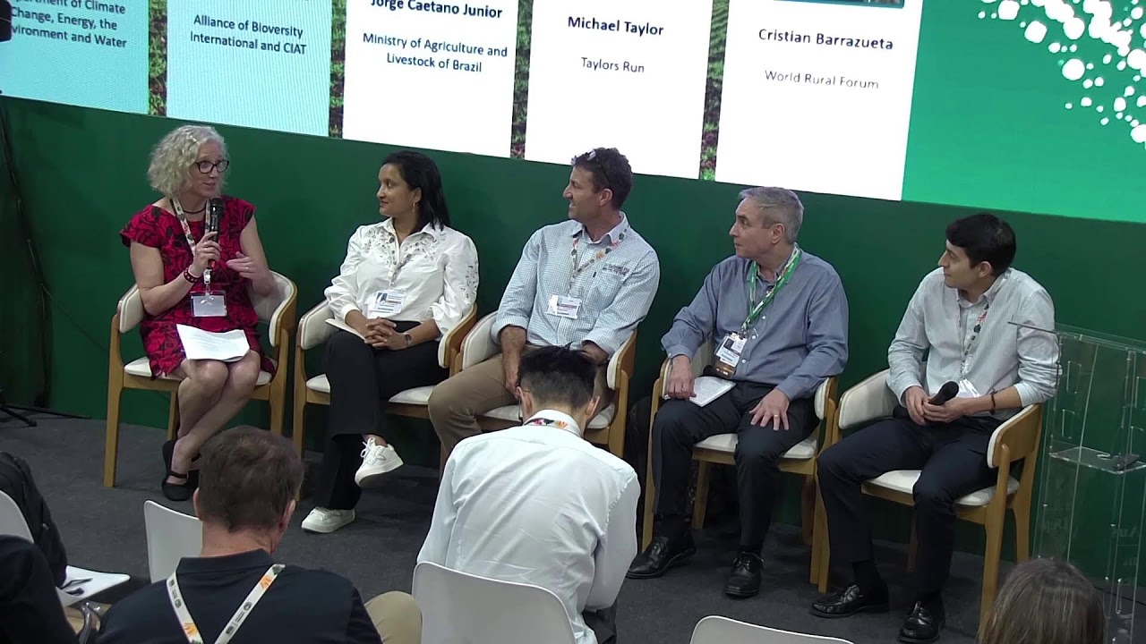 Coordinated Action for a Sustainable Future: Exploring Rio Convention Synergies