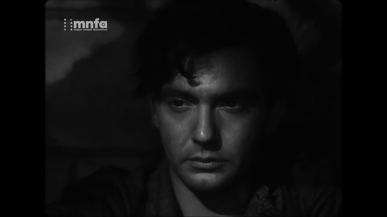 Valahol Európában (Radványi Géza, 1947, részlet)