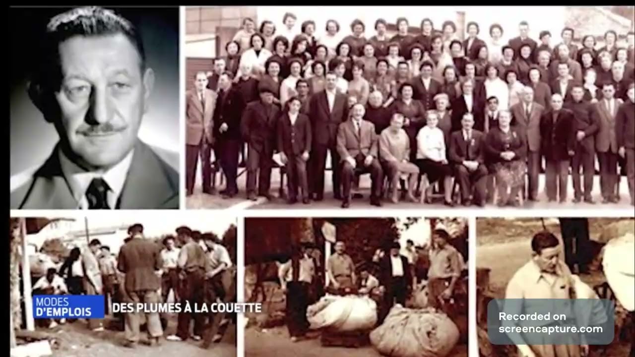 Castex, des plumes à la couette. Par TV7.