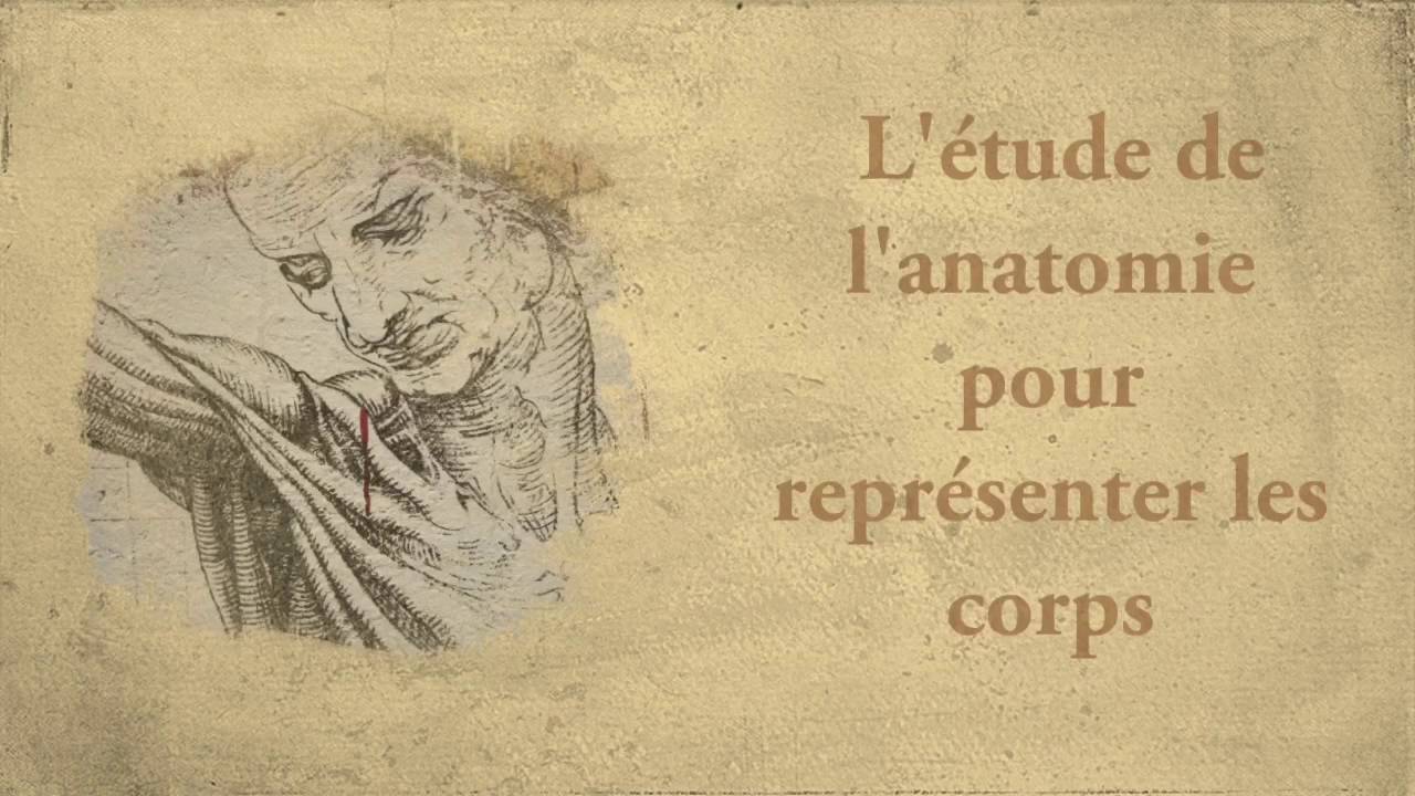 5 - Le développement des arts et des sciences à la Renaissance