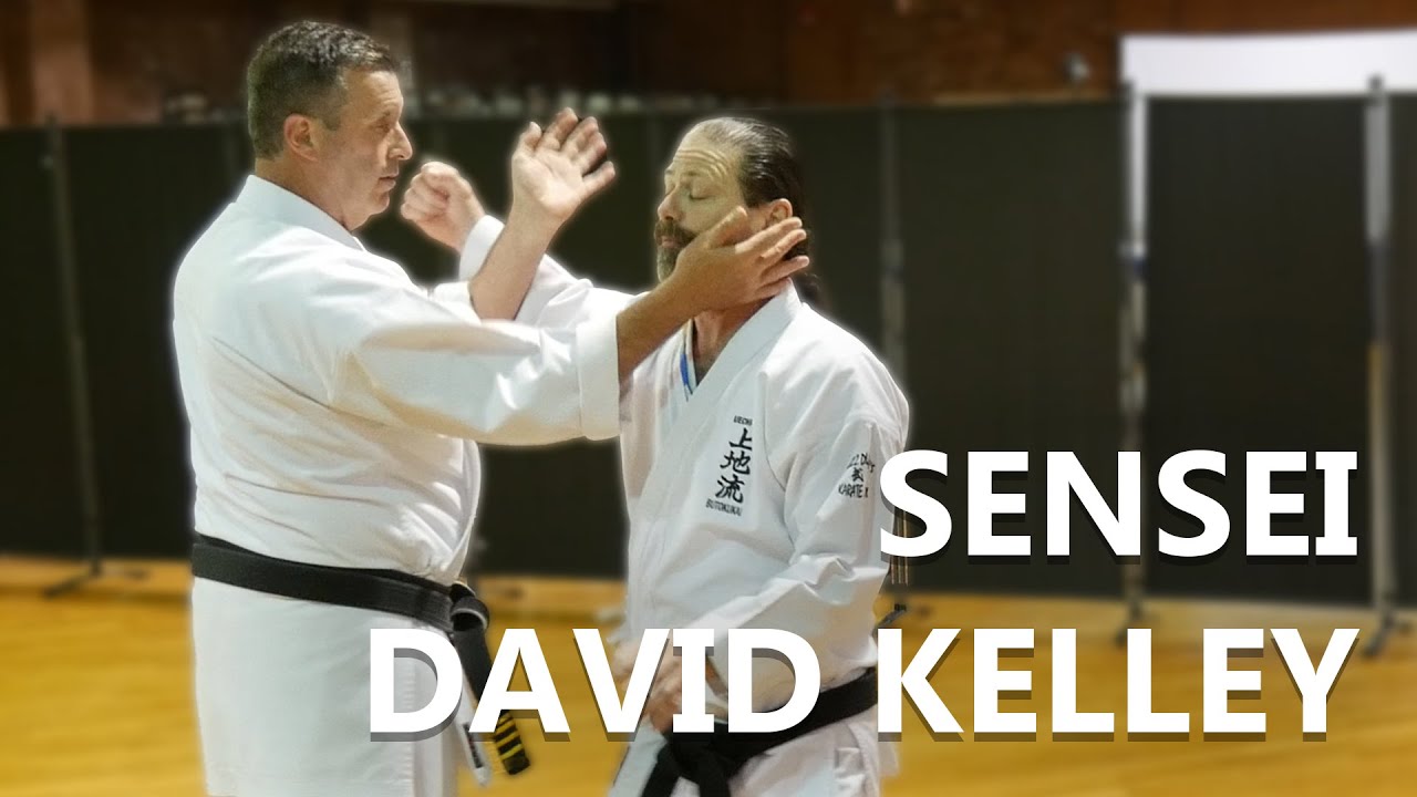 David Kelley Uechi-Ryu Bunkai Seminar | Uechi-Con 2023