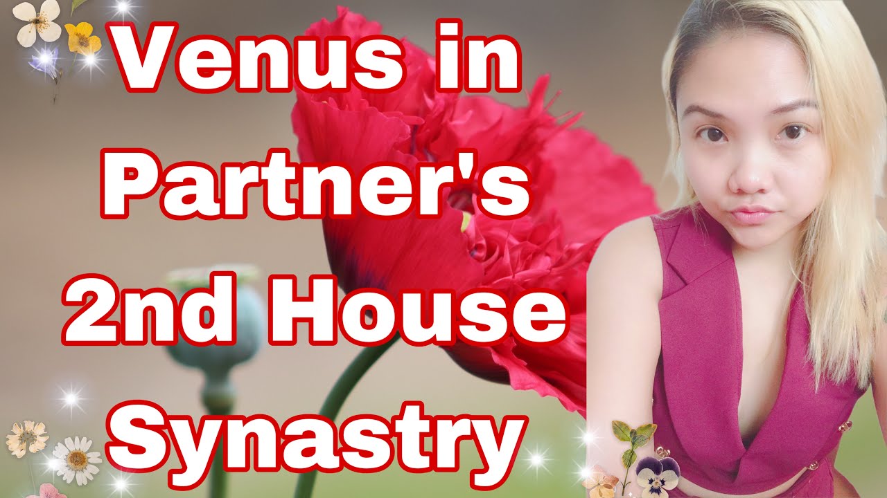 VENUS in PARTNER'S 2ND HOUSE SYNASTRY #astrology #venus #synastry #datingcoach