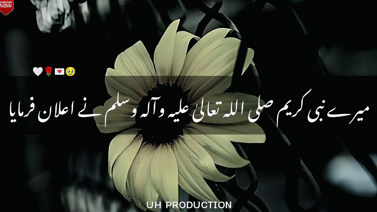 Huzoor Pakﷺ Ne Irshad Farmaya ❤ | New Islamic Whatsapp Status Peer Ajmal Raza Qadri
