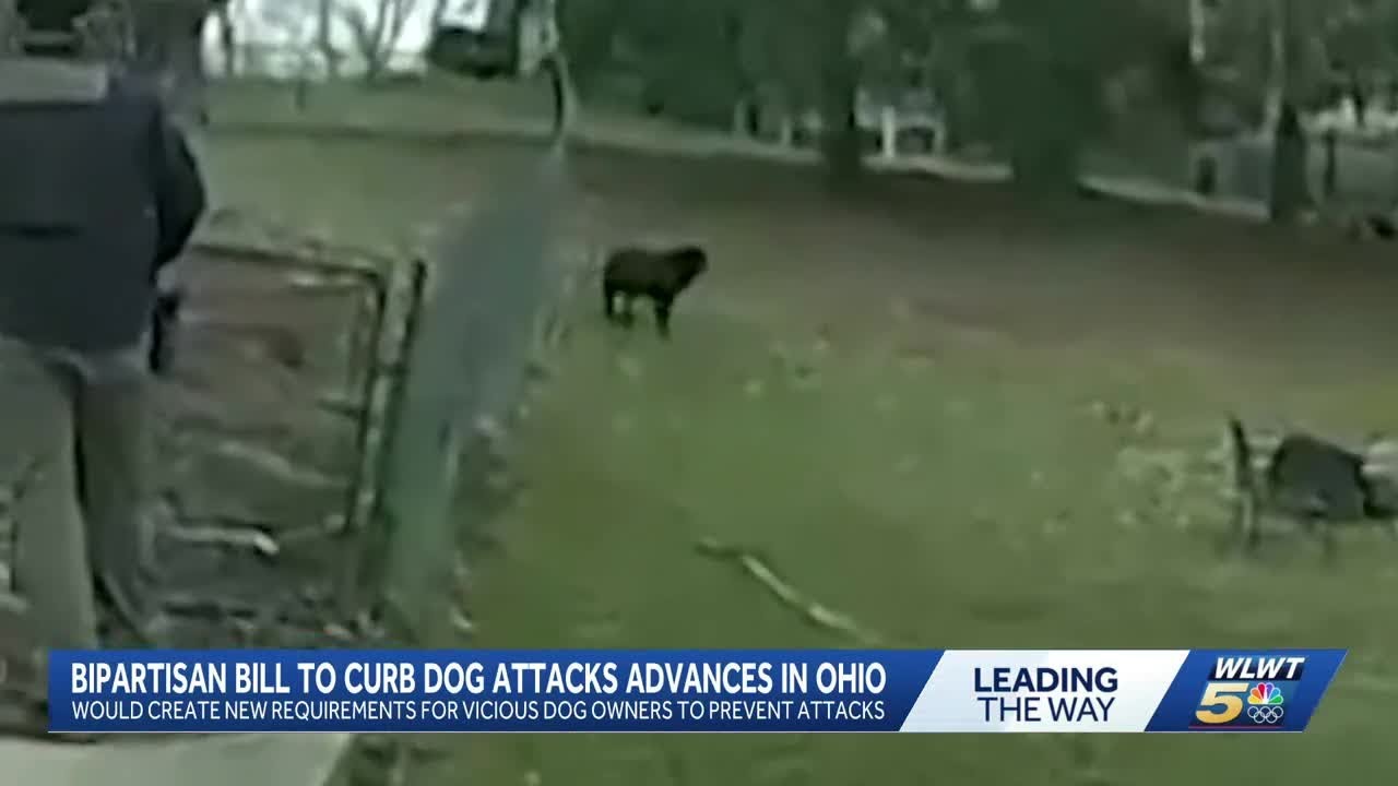 Bipartisan bill hoping to curb dog attacks advances in Ohio