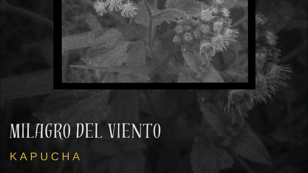 Milagro del viento 