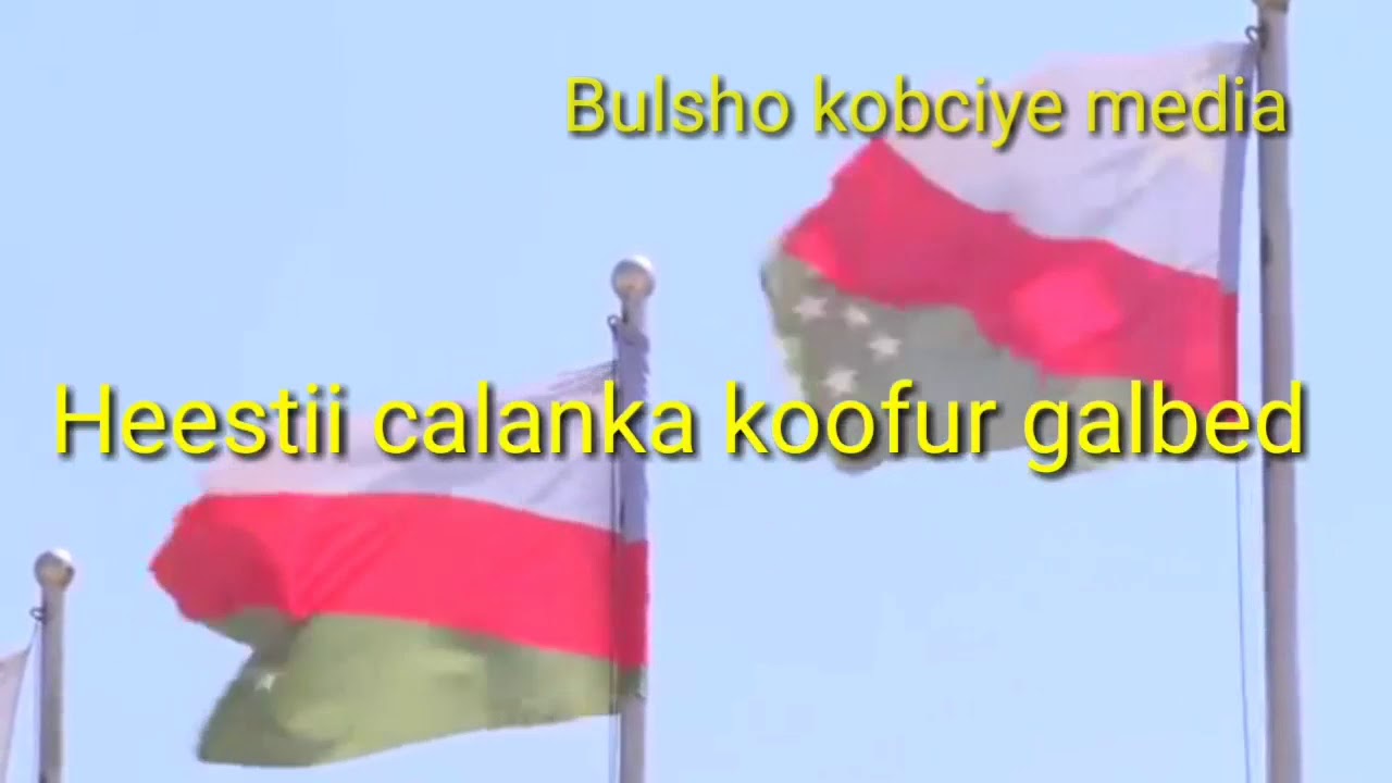 Hees cajiib ah :  ila daawo heestii calanka  dowlad goboledka Koofur galbeed Somaliya o micno weyn