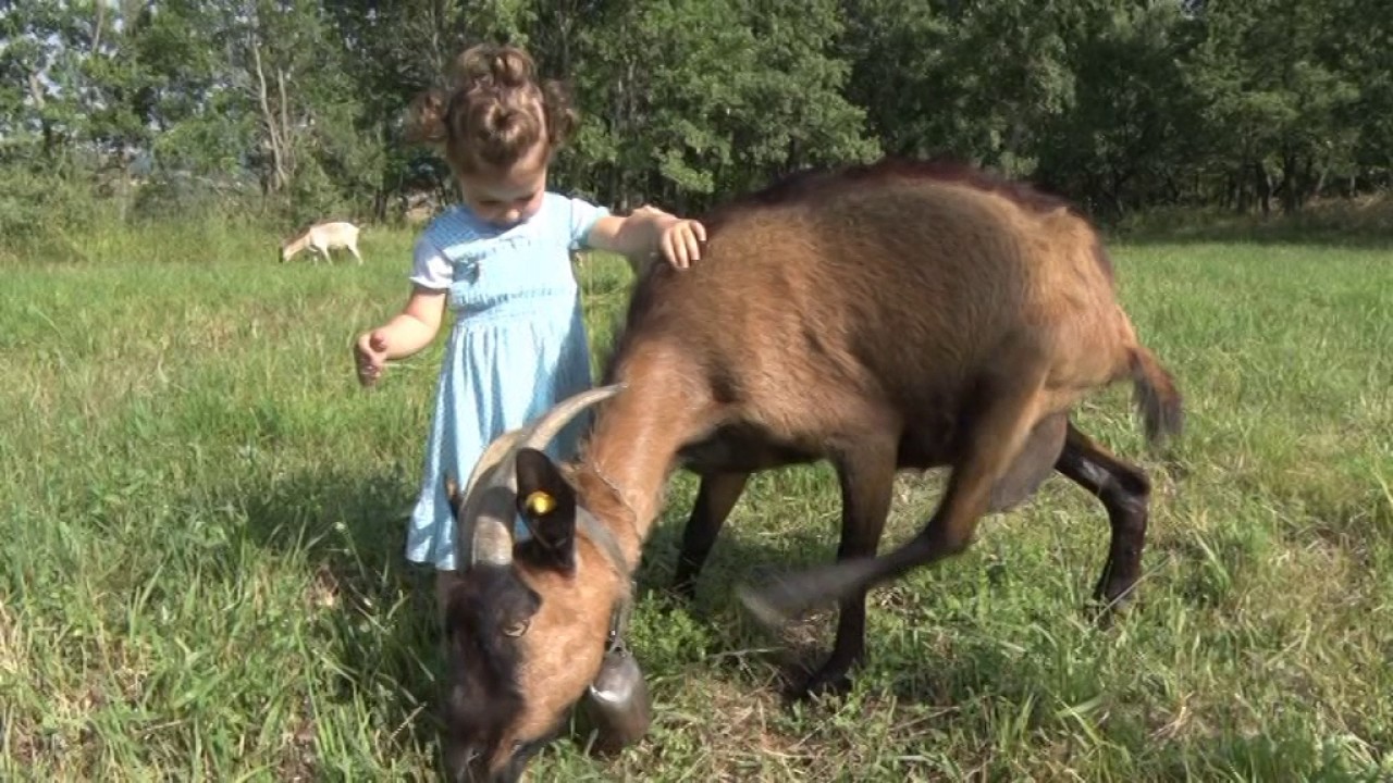 Ruvo del Monte "Dal Brigantaggio ad Oggi... Il Lavoro Femminile una vera economia domestica"
