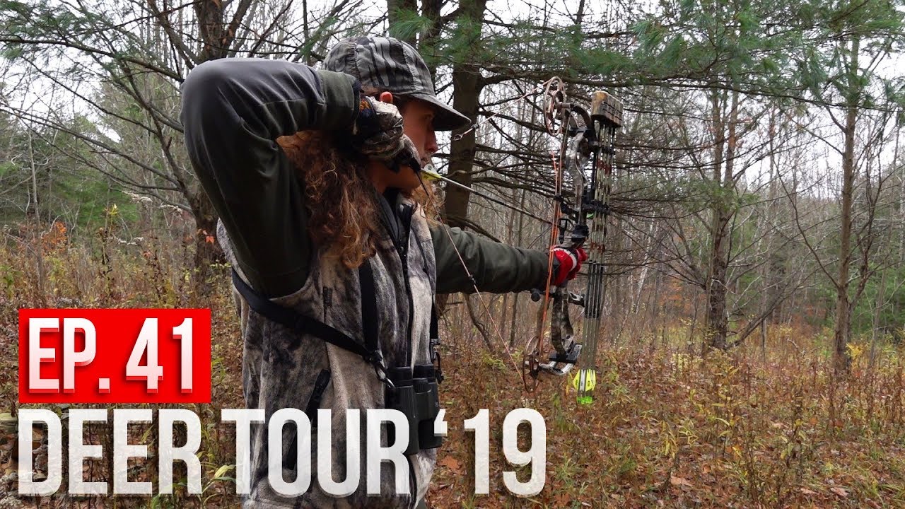 NEW YORK PUBLIC LAND! - Rut Hunting Big Timber