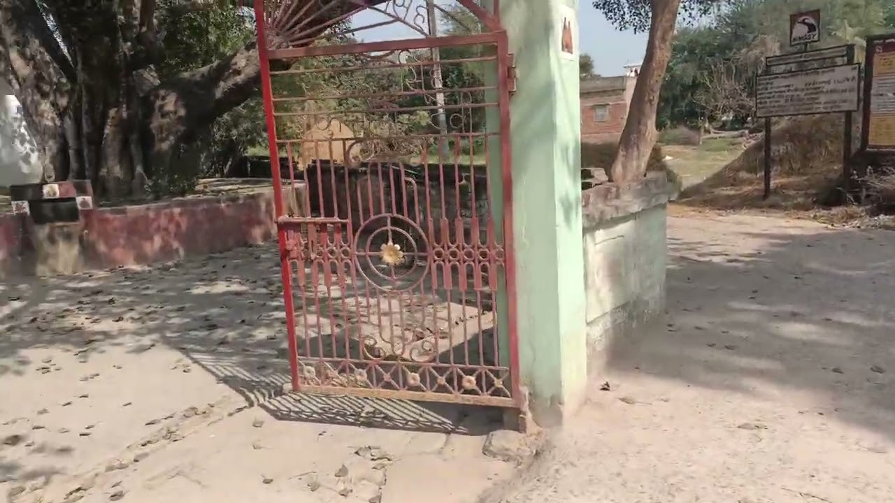 Village video 📷📸#viral #music 