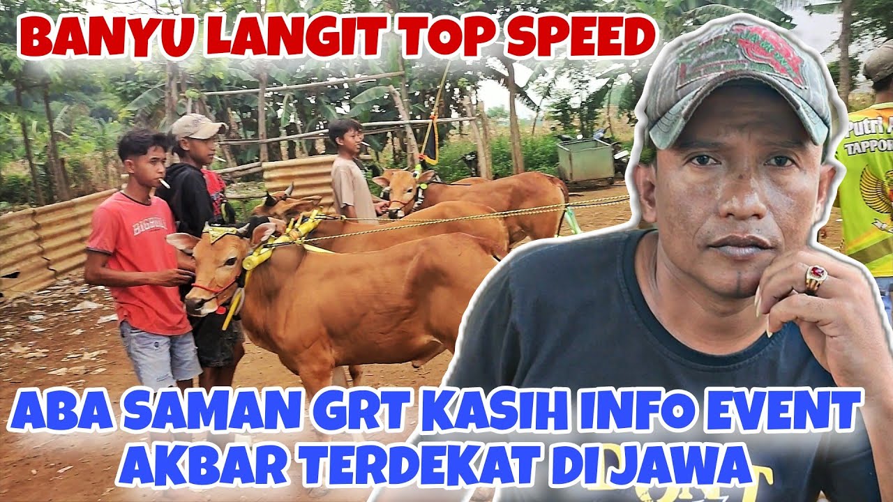 INFO EVENT KERAPAN SAPI TERDEKAT DI JAWA DI INISIASI OLEH GRT || BANYU LANGIT AMUNISI BARU TOP 🔥🔥