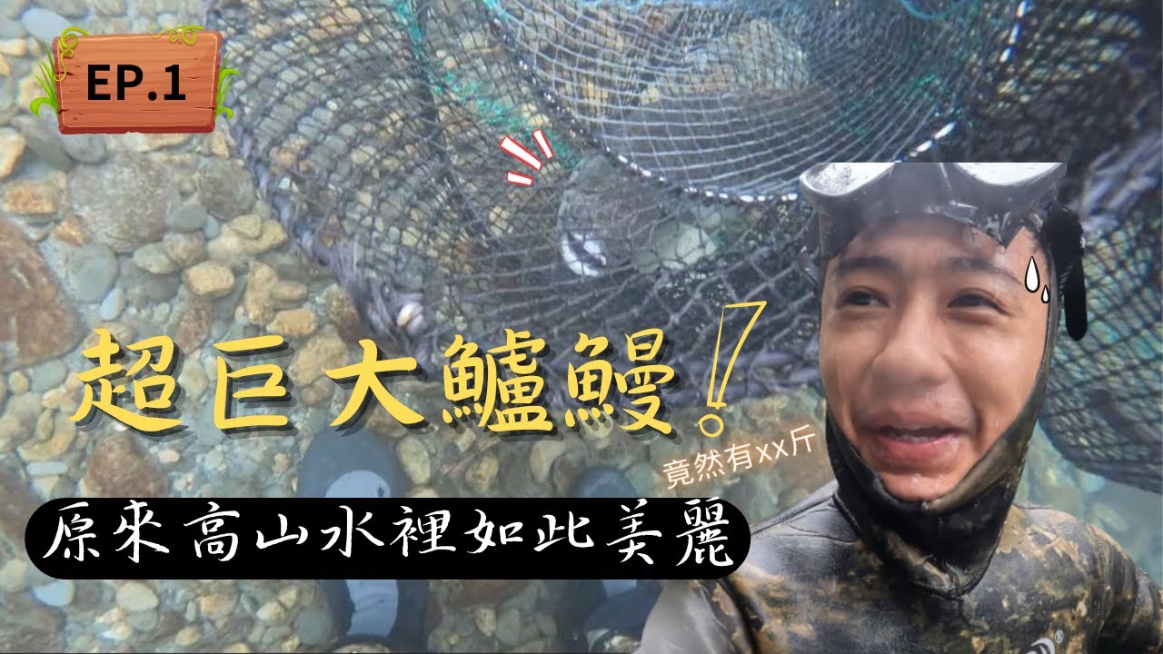 【4K】 巨大鱸鰻上岸！高山的景色如此美麗，水底生態更是美的無與倫比。Anguilla marmorata　