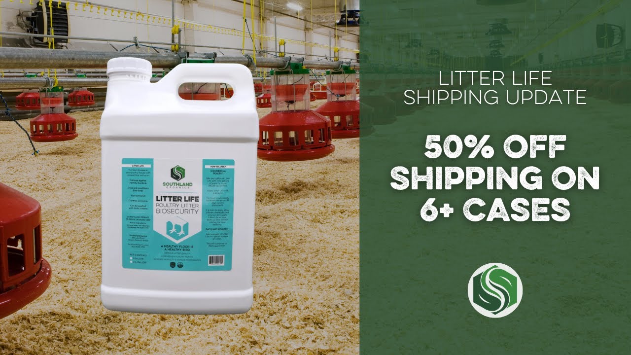Улучшить здоровье птичьего помета и сэкономить: предложение Litter Life Shipping