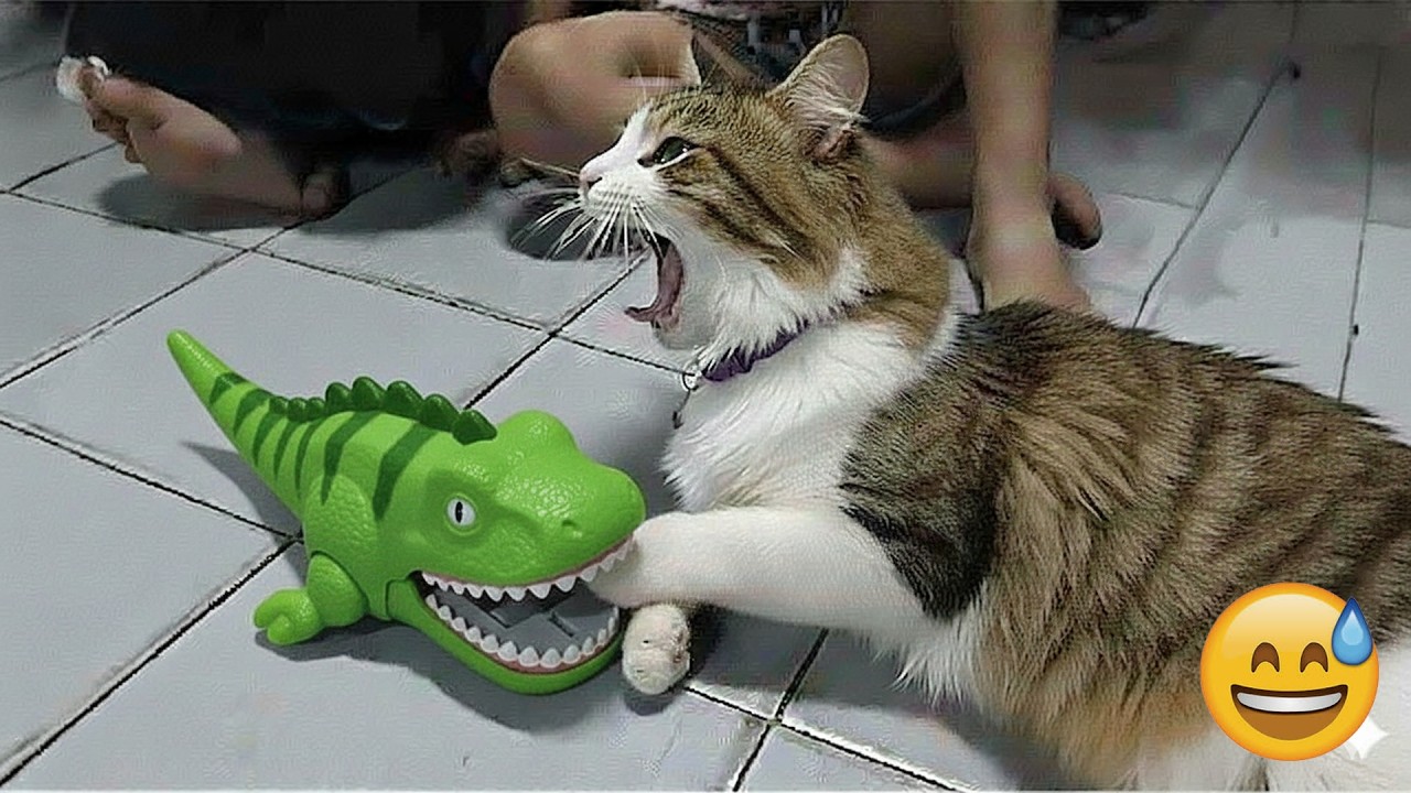 Funniest Cats and Dogs Clips 2026🐶🐶Try Not To Laugh🐱