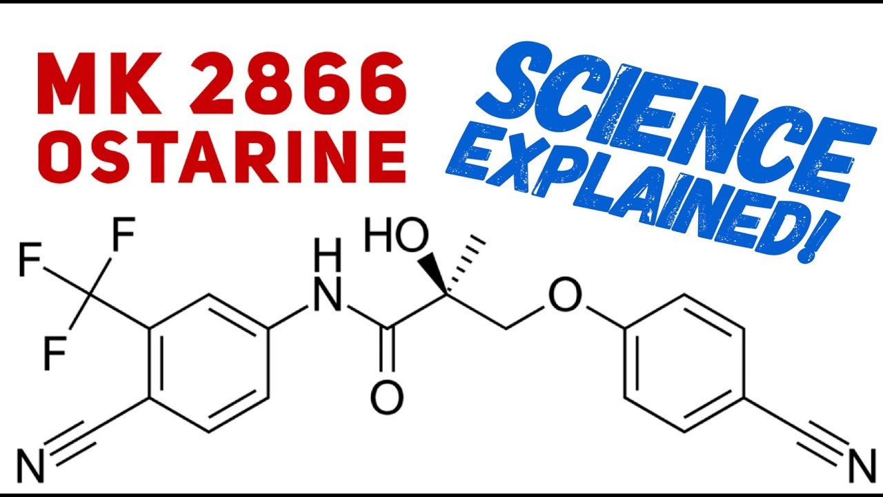 Ostarine Science Explained - Science Behind Ostarine - MK2866 - SARMs - Enobosarm