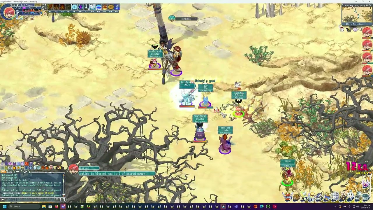Angels Online PVP 2- Totem War( Shadow vs Breeze)