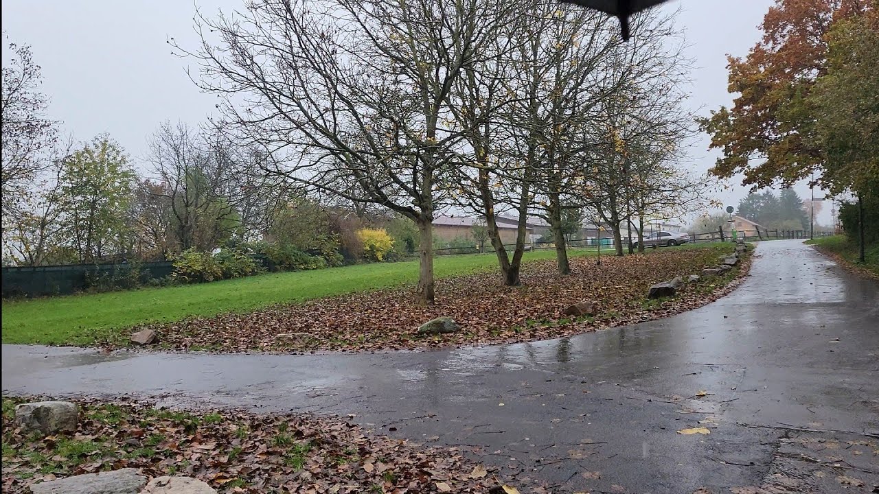 a walk in rain through steinbach germany and also over horse stabil