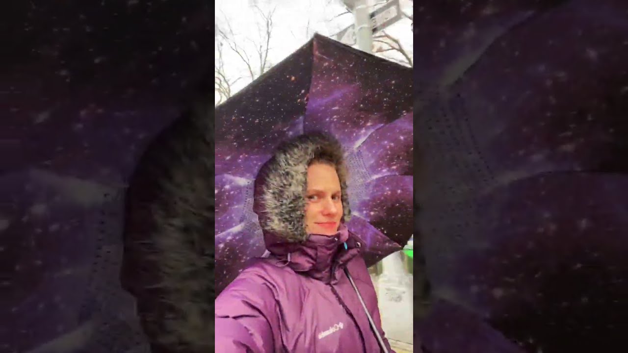 The Original Repel Reverse Umbrella - Product Review