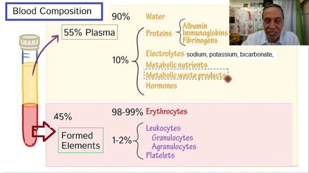 مكونات الدم ، وما هي وظيفة كل مكون منها؟ الجزء-2 - البلازما وكرات الدم الحمراء والبيضاء وصفائح الدم