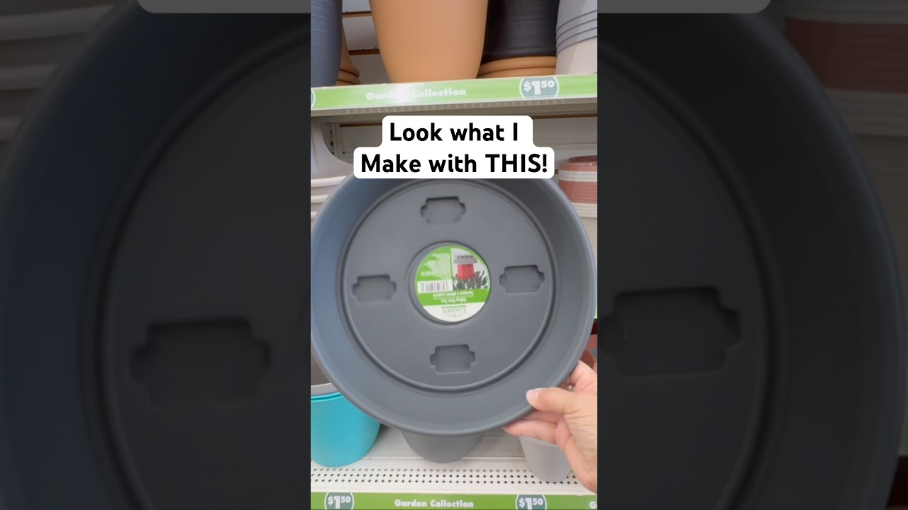 Look what I make with this Rolling Plant Tray! #new #diy #shorts #shortvideo