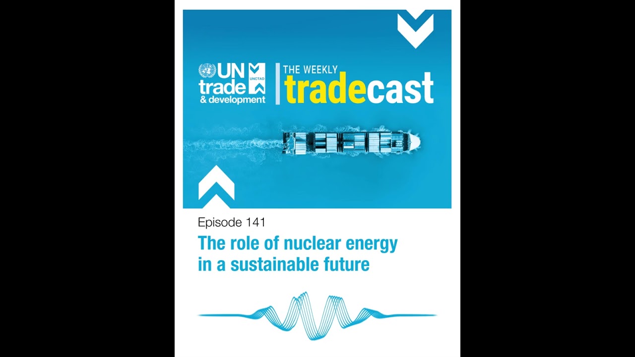 The role of nuclear energy in a sustainable future