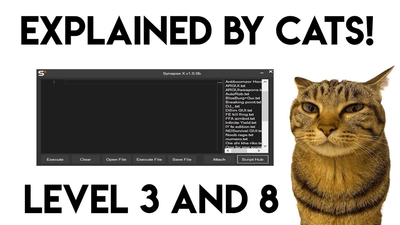 Roblox Executor Levels Explained by Cats